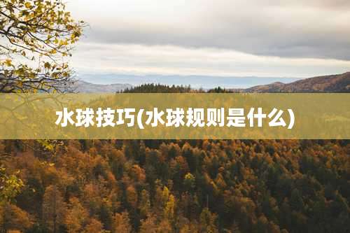 水球技巧(水球规则是什么)