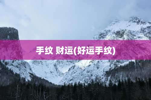 手纹 财运(好运手纹)