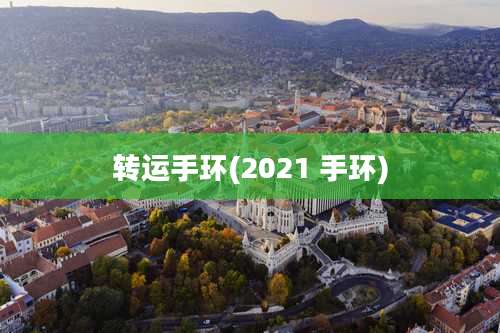 转运手环(2021 手环)