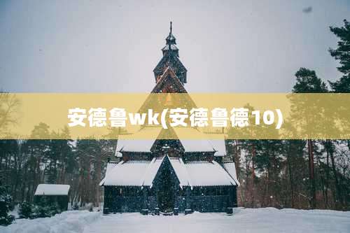 安德鲁wk(安德鲁德10)