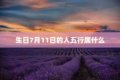 生日7月11日的人五行属什么