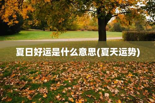 夏日好运是什么意思(夏天运势)