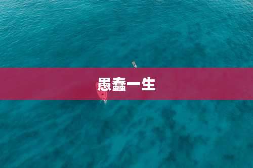 愚蠢一生