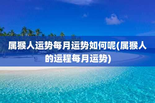 属猴人运势每月运势如何呢(属猴人的运程每月运势)