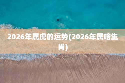 2026年属虎的运势(2026年属啥生肖)