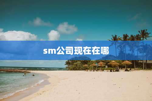 sm公司现在在哪