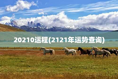 20210运程(2121年运势查询)