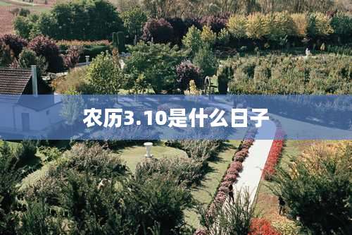 农历3.10是什么日子