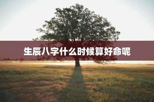 生辰八字什么时候算好命呢