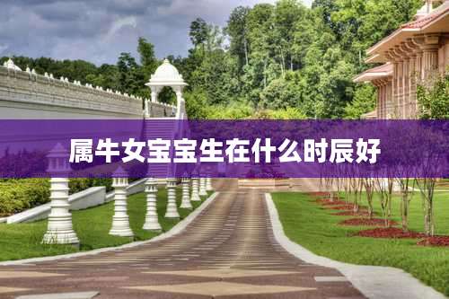 属牛女宝宝生在什么时辰好