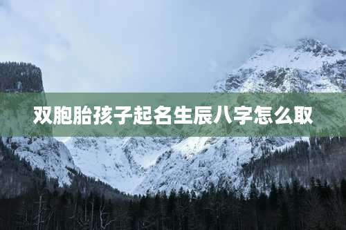 双胞胎孩子起名生辰八字怎么取