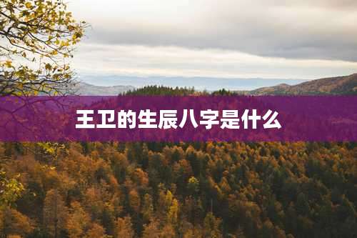 王卫的生辰八字是什么
