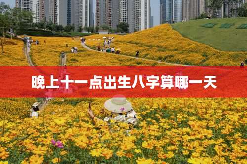 晚上十一点出生八字算哪一天