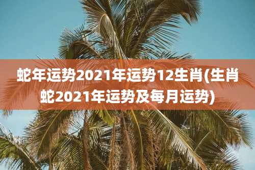 蛇年运势2021年运势12生肖(生肖蛇2021年运势及每月运势)