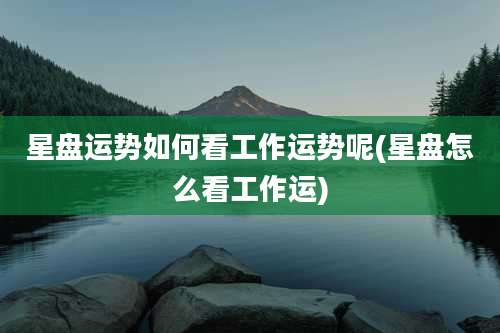 星盘运势如何看工作运势呢(星盘怎么看工作运)