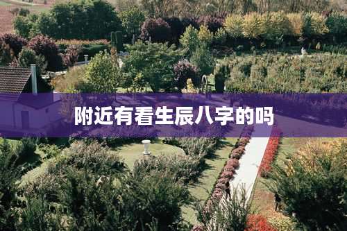 附近有看生辰八字的吗