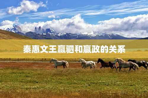 秦惠文王赢驷和嬴政的关系