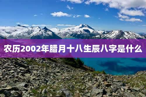 农历2002年腊月十八生辰八字是什么