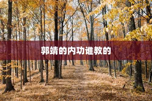 郭靖的内功谁教的