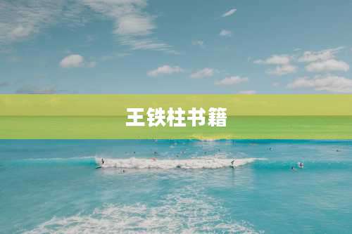 王铁柱书籍