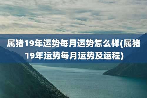 属猪19年运势每月运势怎么样(属猪19年运势每月运势及运程)