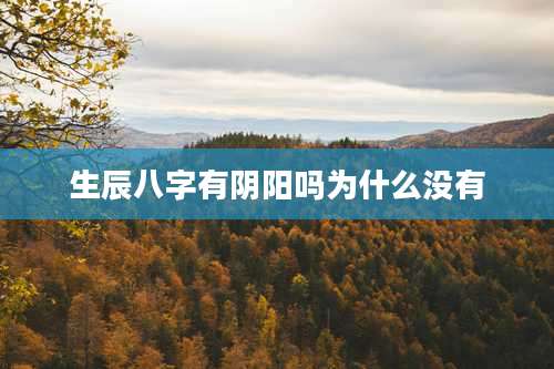 生辰八字有阴阳吗为什么没有