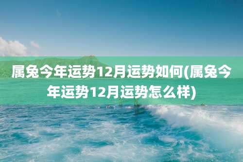 属兔今年运势12月运势如何(属兔今年运势12月运势怎么样)