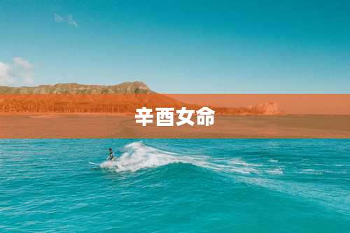 辛酉女命