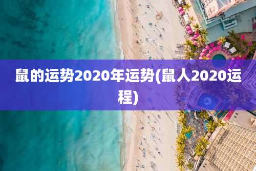 鼠的运势2020年运势(鼠人2020运程)