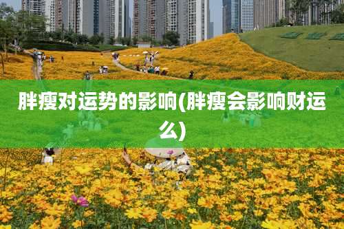 胖瘦对运势的影响(胖瘦会影响财运么)