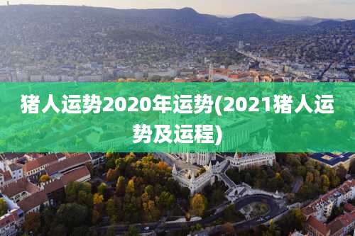 猪人运势2020年运势(2021猪人运势及运程)