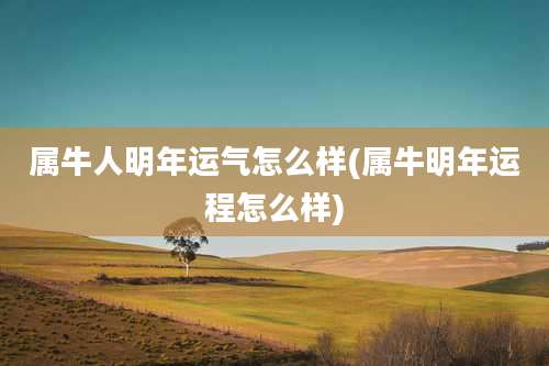 属牛人明年运气怎么样(属牛明年运程怎么样)