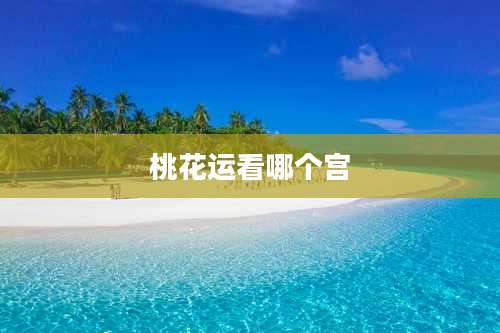 桃花运看哪个宫