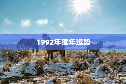 1992年猴年运势