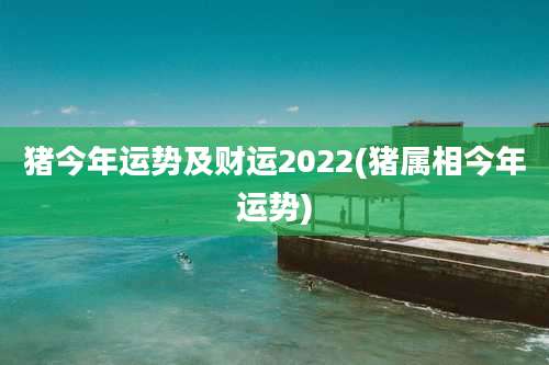 猪今年运势及财运2022(猪属相今年运势)