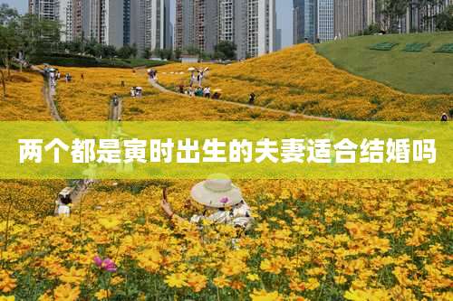 两个都是寅时出生的夫妻适合结婚吗