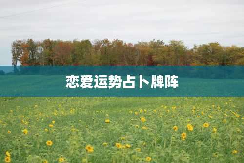 恋爱运势占卜牌阵