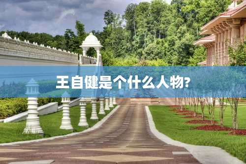 王自健是个什么人物?