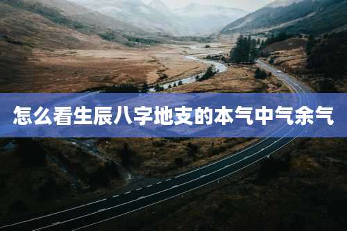 怎么看生辰八字地支的本气中气余气