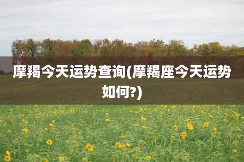 摩羯今天运势查询(摩羯座今天运势如何?)