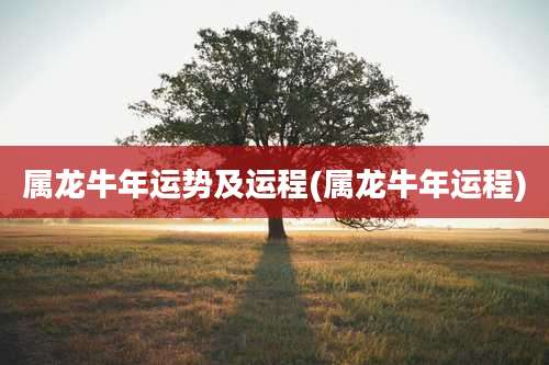 属龙牛年运势及运程(属龙牛年运程)