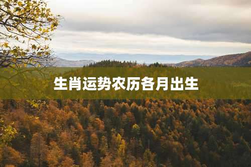 生肖运势农历各月出生