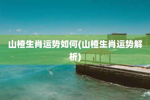 山楂生肖运势如何(山楂生肖运势解析)