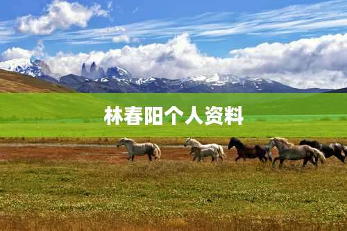 林春阳个人资料