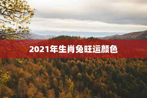 2021年生肖兔旺运颜色