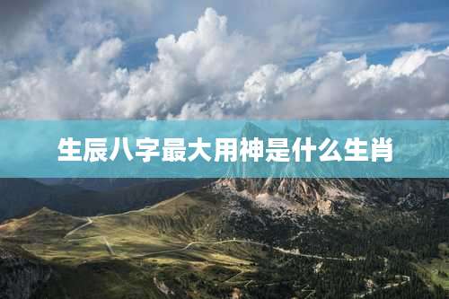 生辰八字最大用神是什么生肖