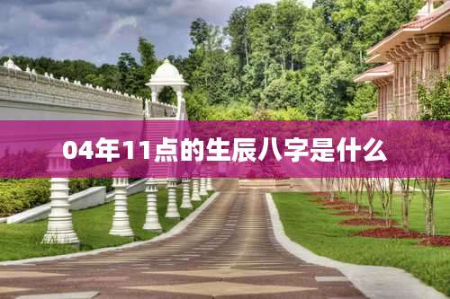 04年11点的生辰八字是什么