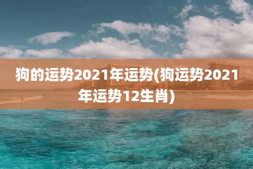 狗的运势2021年运势(狗运势2021年运势12生肖)