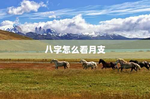 八字怎么看月支