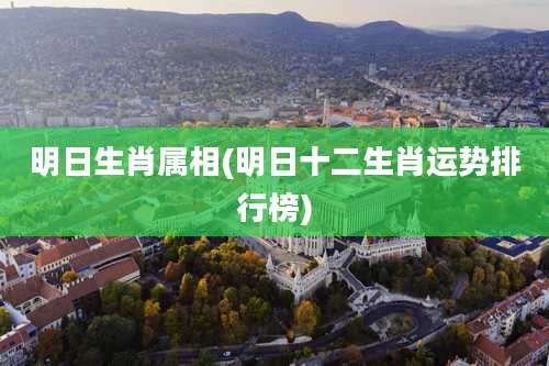 明日生肖属相(明日十二生肖运势排行榜)